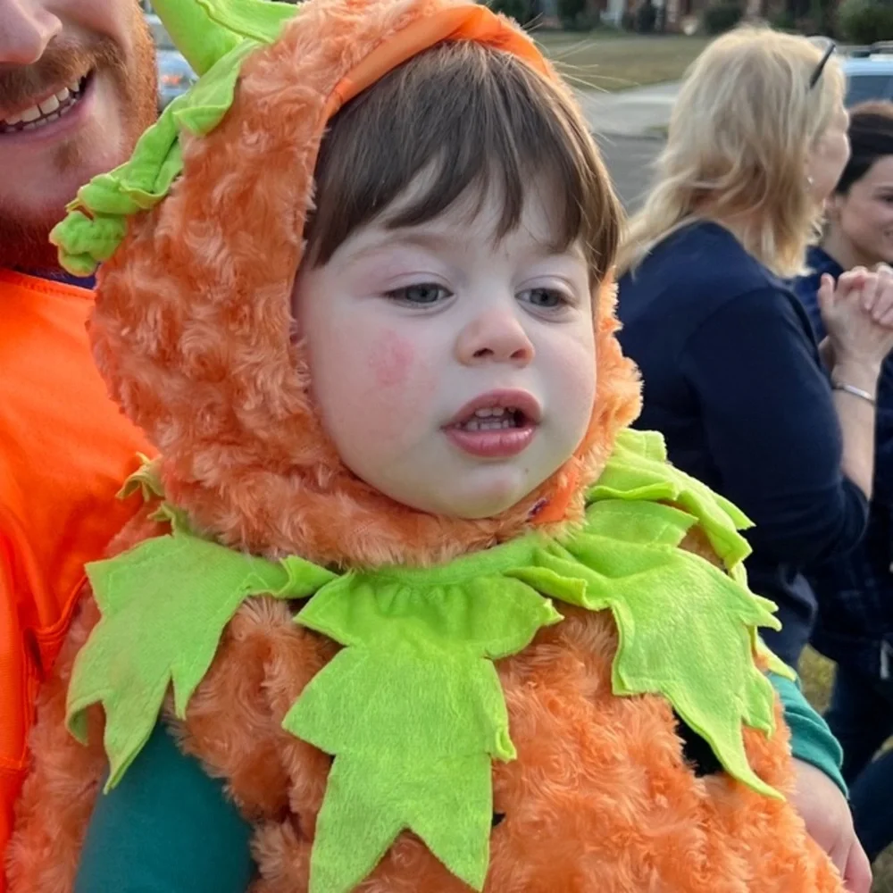 Pumpkin toddler costume/Med/18 mo old wore 2h/Hat/velcro/elastic/plush/non smo